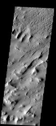 This images shows a wind eroded portion of Lycus Sulci, a region of ridges and valleys west of Olympus Mons on Mars as seen by NASA's 2001 Mars Odyssey spacecraft.