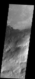 An extensive field of small, dark dunes in located on the floor of the unnamed crater in Arabia Terra on Mars as seen by NASA's 2001 Mars Odyssey spacecraft.