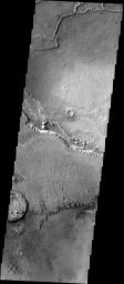 This type of feature is termed an inverted channel. One theory of how these features form is that rocky debris accumulates in channels of flowing water beneath glaciers. This image is from NASA's 2001 Mars Odyssey spacecraft.