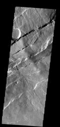This region of Alba Patera is characterized by faulting with the down-dropped block on the southeast side of the fault on Mars as seen by NASA's Mars Odyssey spacecraft.