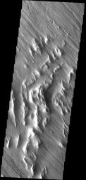 These wind eroded hills are located on the southwest margin of Lycus Sulci on Mars as seen by NASA's Mars Odyssey spacecraft.