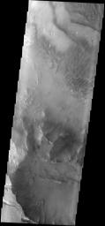 This image from NASA's Mars Odyssey spacecraft shows the southern rim of Melas Chasma with numerous small landslides. Large sand dunes are visible on the floor of Melas Chasma.