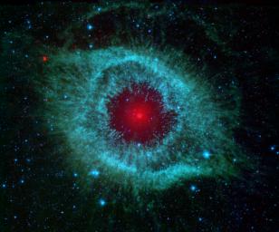 This infrared image from NASA's Spitzer Space Telescope shows the Helix nebula, a cosmic starlet often photographed by amateur astronomers for its vivid colors and eerie resemblance to a giant eye.