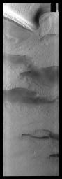 This image from NASA's Mars Odyssey spacecraft shows Mars' south pole has different surface textures and darker depression. Layering is visible in the plateau at the top of the image.