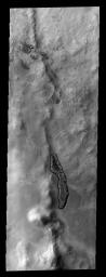 This image from NASA's Mars Odyssey spacecraft shows a ridge near Pityusa Patera has collected sand along one side. During winter the dunes are covered with frost. As spring begins the dunes defrost and exhibit this spotty surface.