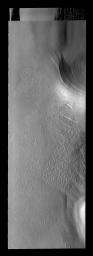 This image from NASA's Mars Odyssey spacecraft shows Mars' south polar image and its variety of surface textures.