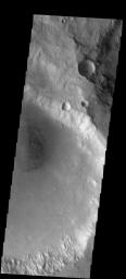 This image from NASA's Mars Odyssey spacecraft shows a small field of dunes located on the floor of an unnamed crater on Mars.