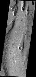 This image from NASA's Mars Odyssey spacecraft shows part of Managala Vallis on Mars, including a streamlined island. The narrow tail of the island points downstream.