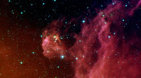 This image from NASA's Spitzer Space Telescope shows infant stars 'hatching' in the head of the hunter constellation, Orion.