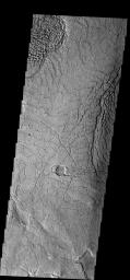 This image from NASA's Mars Odyssey spacecraft shows arcuate fractures and broken up surface called Avernus Colles [colles means small hills or knobs]. This unique surface has developed on the southeast margin of Elysium Plainitia.