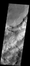 This image from NASA's Mars Odyssey spacecraft shows a large trough in Maunder Crater on Mars. The floor of Maunder Crater has been filled by a significant amount of material.