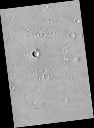 Portion of Isidis Planitia Near the Beagle 2 Landing Ellipse