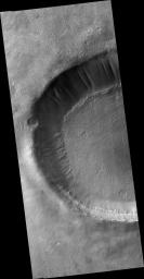Scarp and Channels in a Crater in Terra Cimmeria