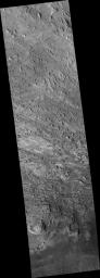Faults and Folds in Western Candor Chasma