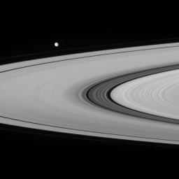 This view from NASA's Cassini spacecraft provides a crisp look at the fine material and detailed structure in the Cassini Division. Also seen rounding the ansa, or or outer edge of the rings, is Saturn's moon Mimas.