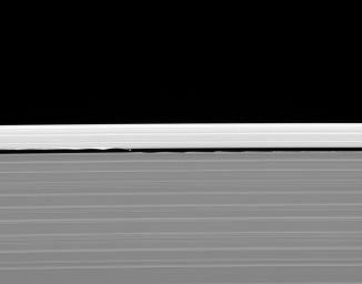 Saturn's moon, Daphnis and its entourage of edge waves are captured here by NASA's Cassini spacecraft. The wave pattern caused by Daphnis in the edges of the Keeler Gap can be likened to a standing ripple in a flowing stream.