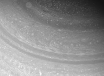 Diverse cloud forms shift and spin in the far northern reaches of Saturn. This image was taken with NASA's Cassini spacecraft's wide-angle camera on Feb. 18, 2008.