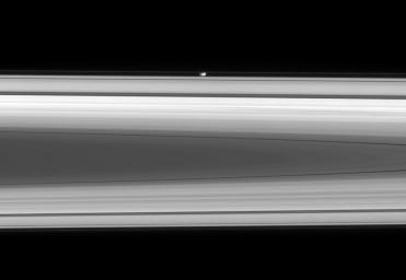 The flattened, potato-like form of Prometheus gliding silently within the Roche Division, between Saturn's A and F rings was captured by NASA's Cassini spacecraft on May 2, 2008.