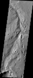 This image from NASA's Mars Odyssey spacecraft shows Verde Vallis of realitively uniform width, but erosion of the walls has reduced the channel depth and makes the valley indistinct from its surroundings in some areas on Mars.
