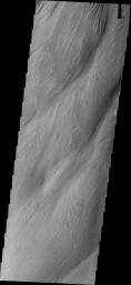 This image from NASA's Mars Odyssey spacecraft shows the Medusa Fossae Formation located east of the Tharsis volcanoes. The materials of the formation are easily eroded by the wind