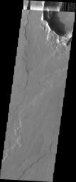 This image from NASA's Mars Odyssey spacecraft shows an impact crater where material divided the flow along both sides, wearing away the upstream ejecta and depositing a tail of material downstream.