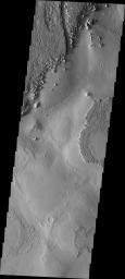 This image from NASA's Mars Odyssey spacecraft shows a small protion of Zephyris Planum, a region south of Elysium Planitia. Winds have scoured the region removing loose materials and scultping the rocks.