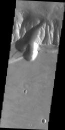This image from NASA's Mars Odyssey spacecraft shows the southern rim of Melas Chasma. A fault is seen as a small ridge feature entering the upper lobe of the gully.