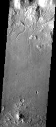 This image from NASA's Mars Odyssey spacecraft shows myriad of small channels running from the rim of Bakhuysen Crater to the crater floor.