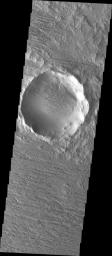This image from NASA's Mars Odyssey spacecraft shows a crater on Mars and its ejecta covered by a layer of loose material. The wind has been winnowing away the loose material to reveal the old crater and its ejecta blanket.