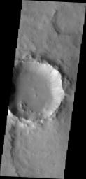 This image from NASA's Mars Odyssey spacecraft shows dark slope streaks on the interior rim of a crater in Terra Sabaea marking locations where the upper layer of dust has been removed, exposing the darker rock beneath.