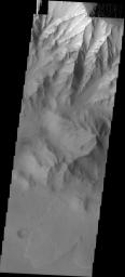 This image from NASA's Mars Odyssey spacecraft shows a landslide located at the bottom of Coprates Chasma on Mars.