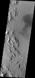 This image from NASA's Mars Odyssey spacecraft shows a field of dark dunes located on the western floor of Hale Crater.
