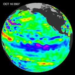 The tropical Pacific Ocean remains in the grips of a cool La Nia, as shown by data of sea-level heights from mid-October of 2007, collected by NASA's U.S-French Jason altimetric satellite.