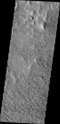 This image from NASA's Mars Odyssey shows the power of the wind to reshape the surface is readily exposed in the equatorial region of Mars south and east of Olympus Mons. The materials here have been sculpted by thousands of years of exposure to the wind.