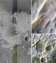 Bright Exposures of Chloride Salt on Southern Mars