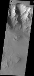 This image from NASA's Mars Odyssey shows landslides, a common feature of Valles Marineris.