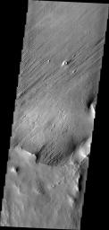 This image from NASA's Mars Odyssey shows that long term unidirectional winds have carved grooves into the material. The material may have originated as volcanic ash erupted from Apollonaris Patera, a volcano just out of the image to the south.