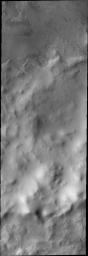 This image from NASA's Mars Odyssey shows a frost-free floor of this crater located in the southern hemisphere of Mars. 