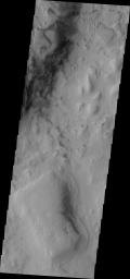 This image from NASA's Mars Odyssey shows small, dark dunes located on the floor of Hellas Basin on Mars.