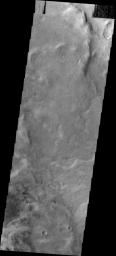 This image from NASA's Mars Odyssey shows small, isolated dunes located near the northeast margin of Copernicus Crater on Mars.