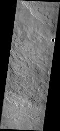 This image from NASA's Mars Odyssey shows lava flows originating from Arsia Mons.