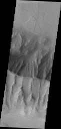 Altough fog and dust partially obscure the floor of Coprates Chasma, a landslide deposit is visible in this image from NASA's Mars Odyssey.