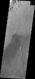 This image from NASA's Mars Odyssey shows a field of sand dunes located on the floor of Vinogradov Crater.