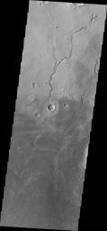 This image from NASA's Mars Odyssey shows small dunes and channels on Mars located on this region of the floor of Newton Crater.