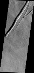 This image from NASA's Mars Odyssey shows the eastern flank of Pavonis Mons on Mars with a large collapse feature and the initiation of a similar feature with small collapses to the east.