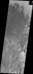 This image from NASA's Mars Odyssey shows dunes located on the floor of Herschel Crater. The wind is blowing southward across the two small craters at the top of the image.