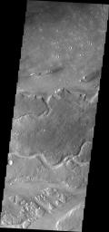 This image from NASA's Mars Odyssey shows some of the minor channels that are related to the major Kasei Valles system.
