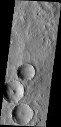 This image from NASA's Mars Odyssey shows three craters in Arabia Terra containing numerous dark slope streaks. The dark streaks mark where dusty material has been removed, revealing the darker material below.