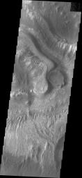 This image from NASA's Mars Odyssey shows a portion of the floor of Ganges Chasma on Mars. Many different features are shown in this image, including dunes, layered deposits, and wind eroded materials.