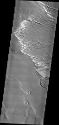 This image from NASA's Mars Odyssey shows a region located near Amazonis Mensa with considerable erosion due to blowing winds.